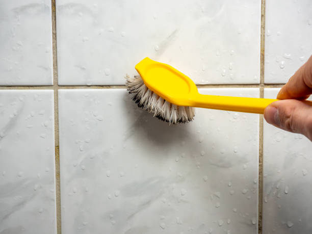 Best Basement Mold Remediation in Blue Mound, IL